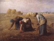 jean-francois millet Axplockerskorna oil on canvas